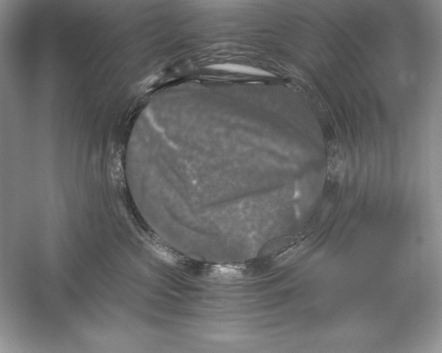 X0000055980573200509091956