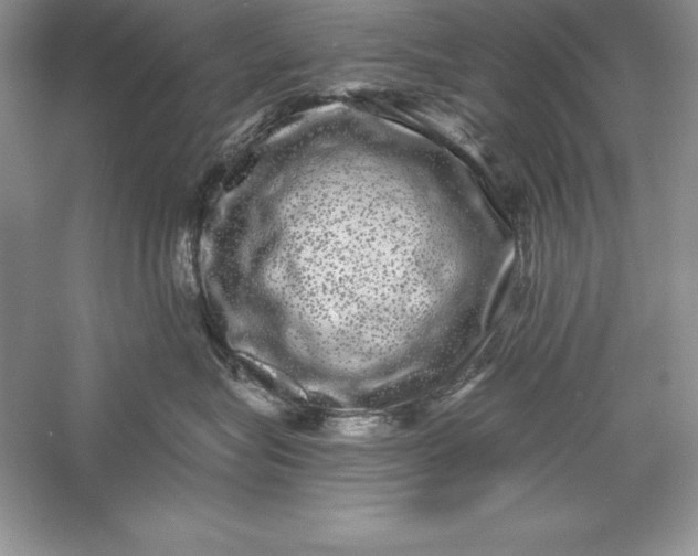 X0000055980575200509091956