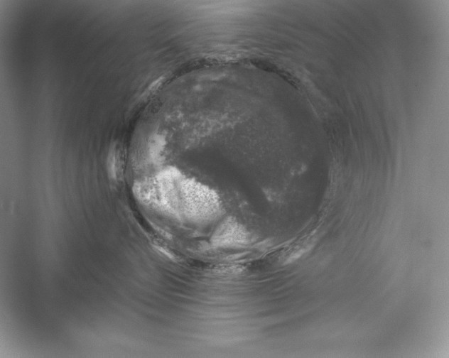 X0000055980576200509091956