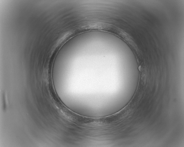 X0000055980578200509091955