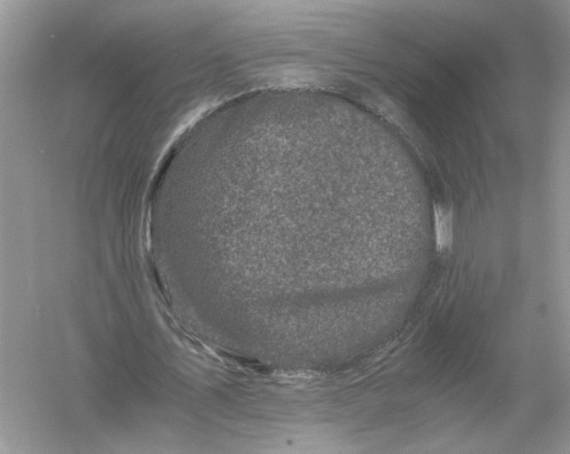 X0000055980579200509091955