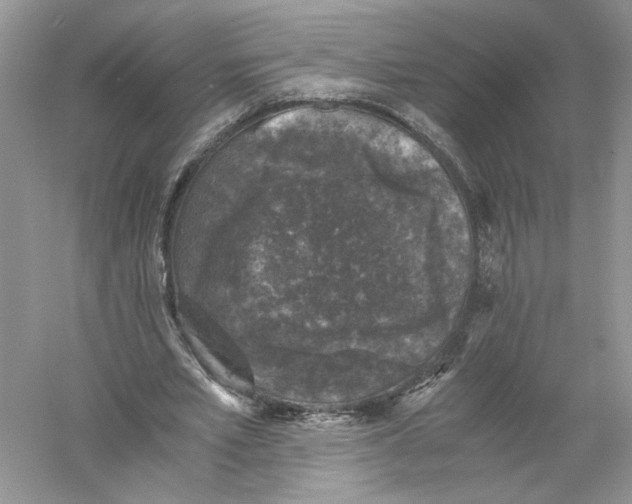 X0000055980581200509091955