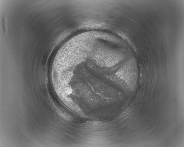 X0000055980582200509091955