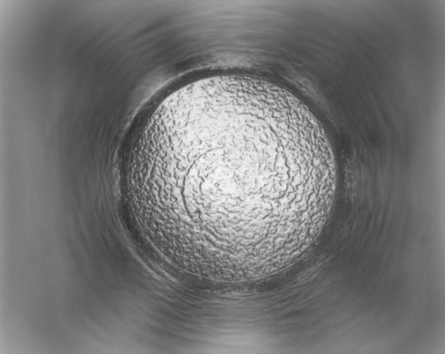 X0000055980584200509091955