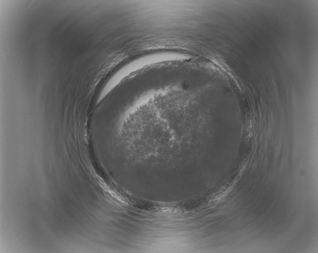 X0000055980585200509091955