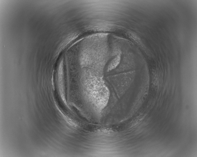 X0000055980586200509091955