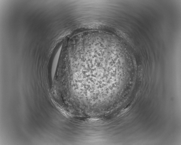 X0000055980589200509091955