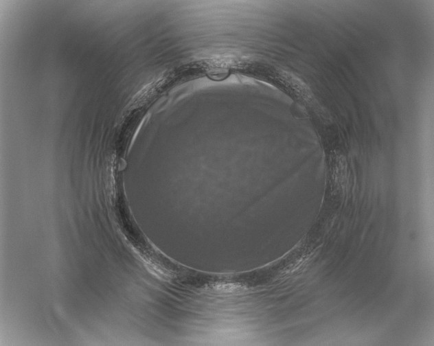 X0000055980590200509091955