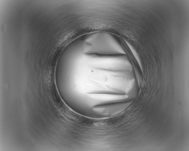 X0000055980591200509091955