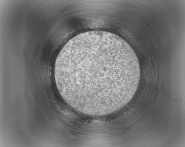 X0000055980592200509091955