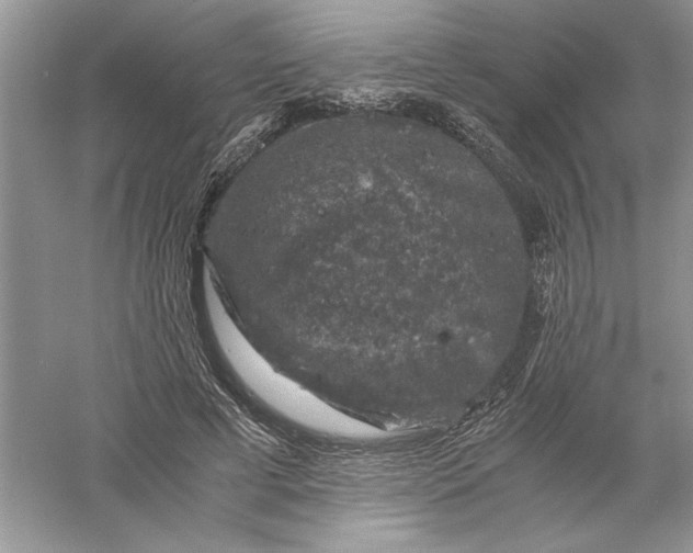 X0000055980593200509091955