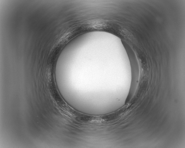 X0000055980595200509091955