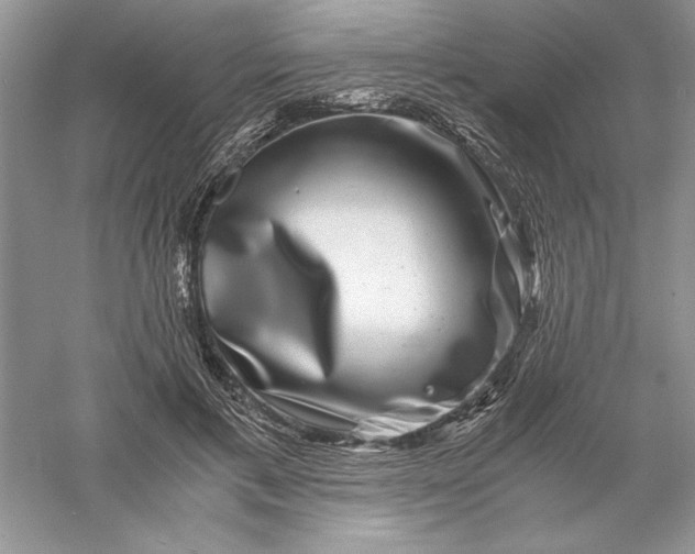 X0000055980597200509091955