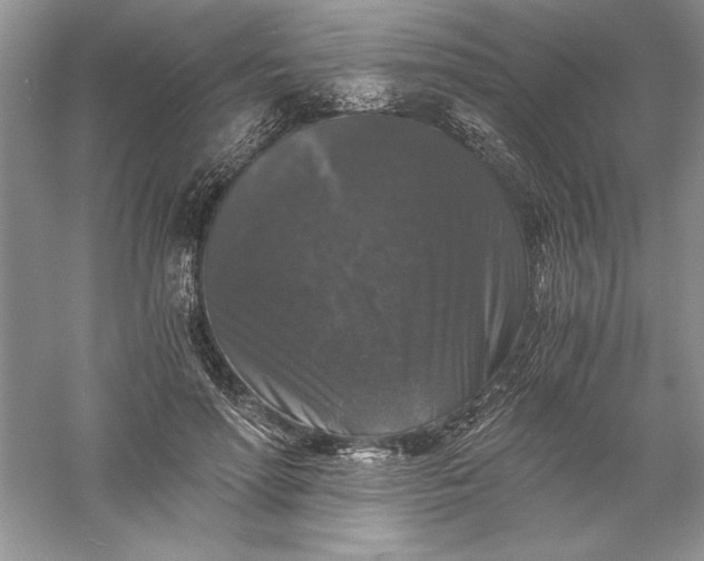 X0000055980598200509091955