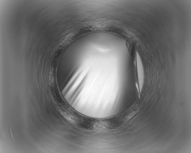 X0000055980599200509091955