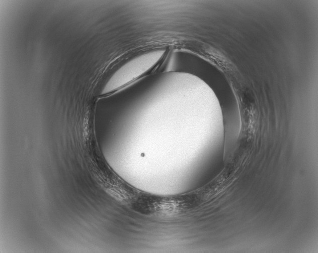 X0000055980600200509091955