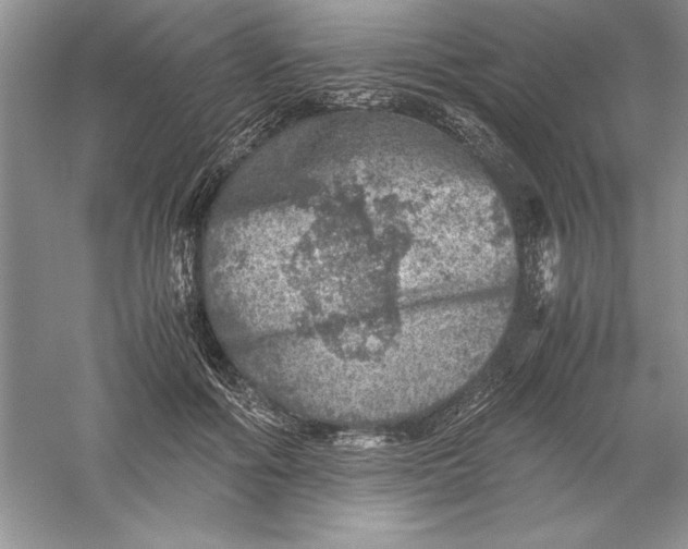 X0000055980602200509091955