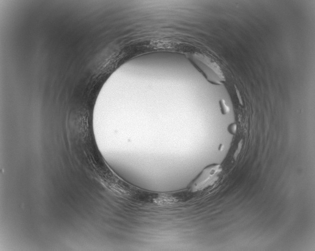 X0000055980603200509091955