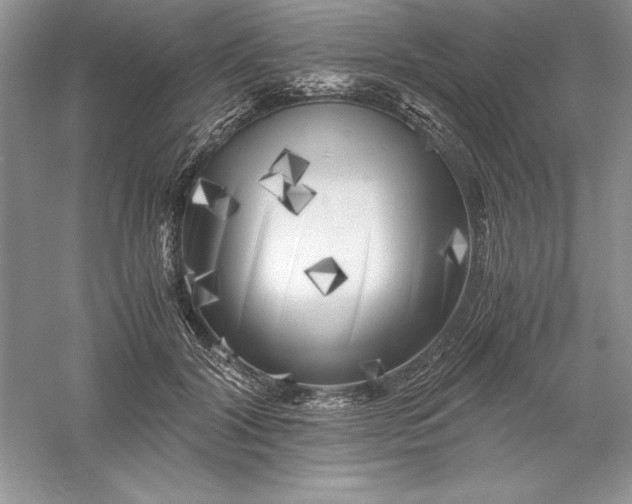 X0000055980604200509091955