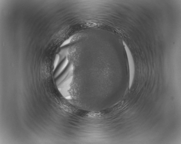 X0000055980606200509091955