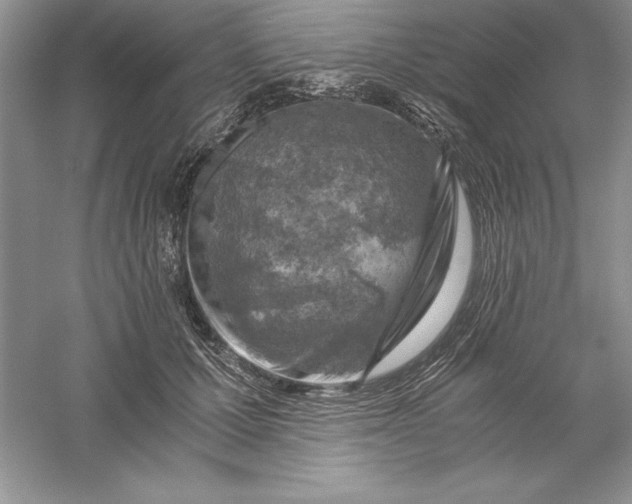 X0000055980607200509091955