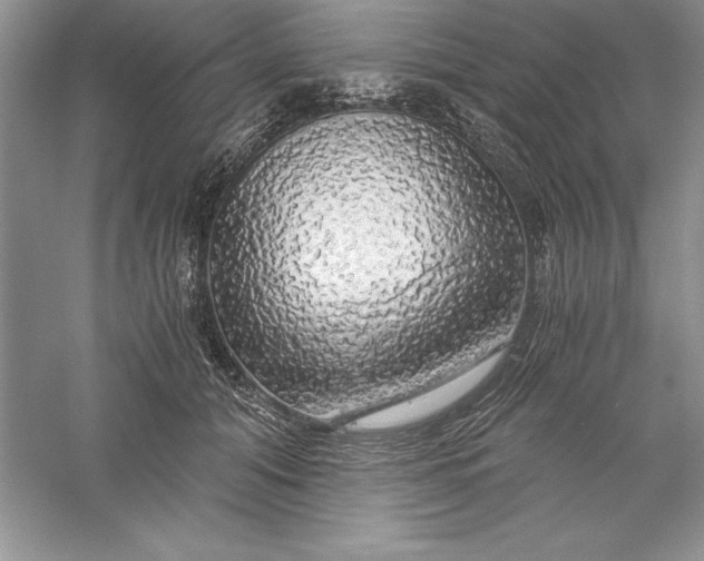 X0000055980608200509091955