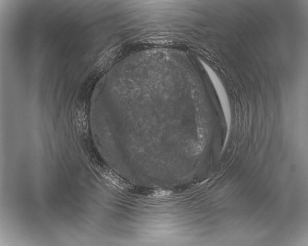 X0000055980609200509091955