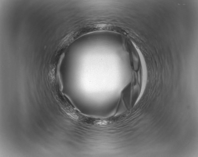 X0000055980611200509091955