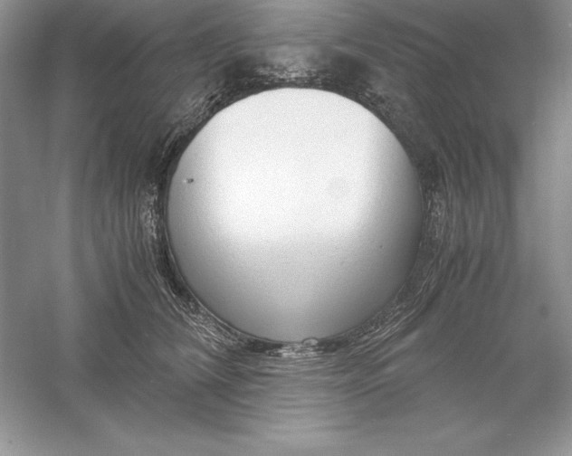 X0000055980612200509091955