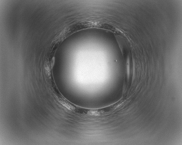 X0000055980613200509091955