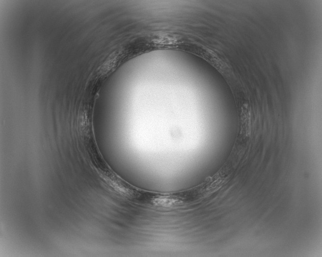 X0000055980614200509091955