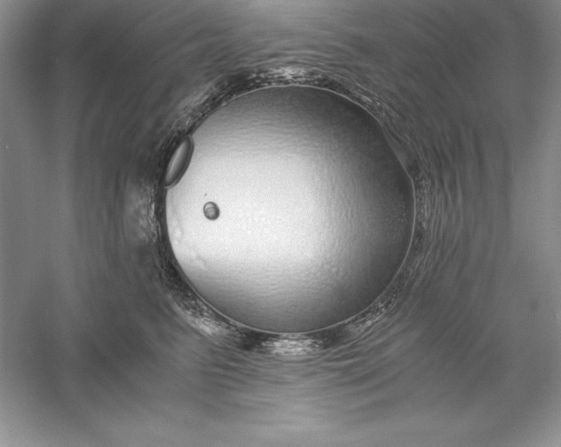 X0000055980615200509091955