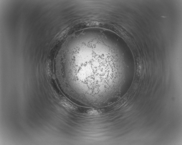 X0000055980616200509091955