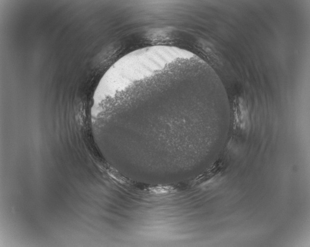 X0000055980618200509091955