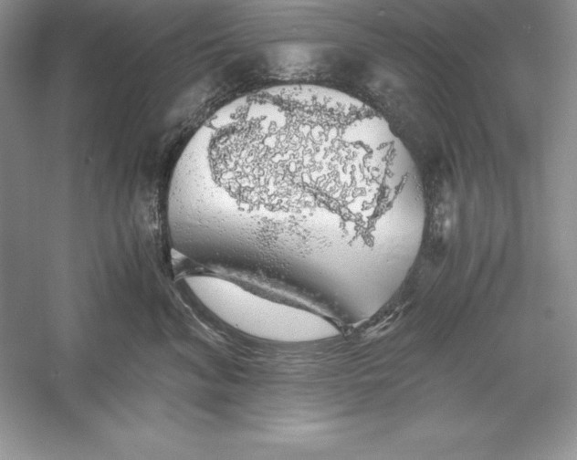 X0000055980620200509091955