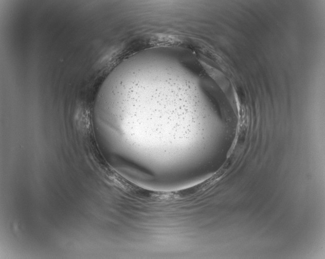 X0000055980621200509091955