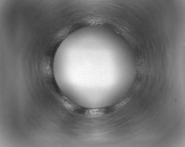 X0000055980622200509091955