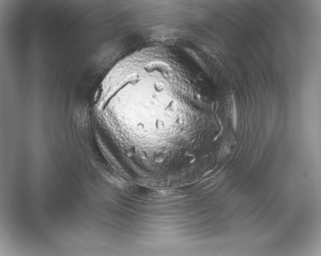 X0000055980623200509091955