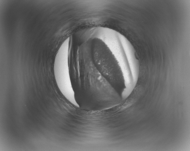 X0000055980624200509091955