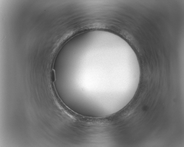 X0000055980625200509091954