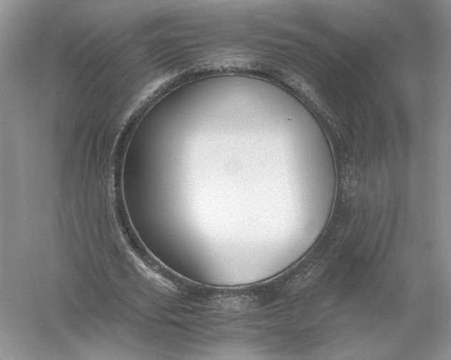 X0000055980629200509091954