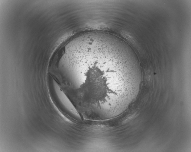 X0000055980630200509091954