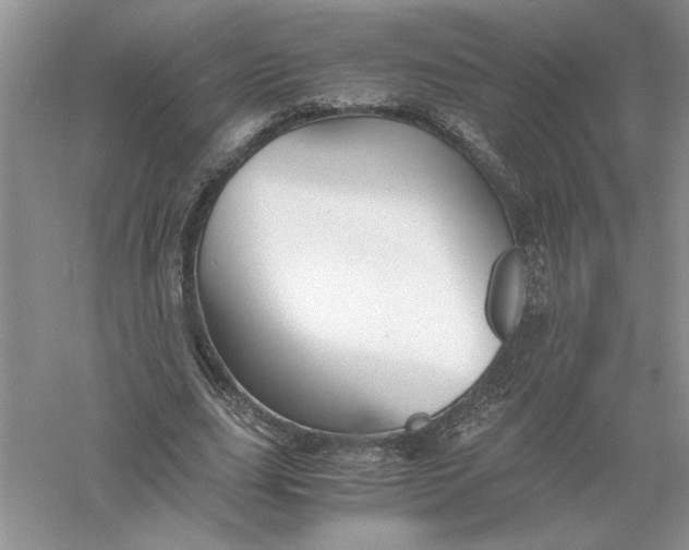 X0000055980631200509091954