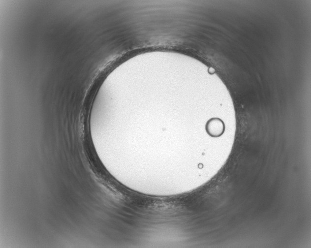 X0000055980632200509091954