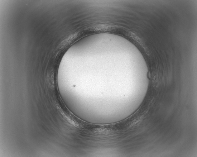 X0000055980633200509091954