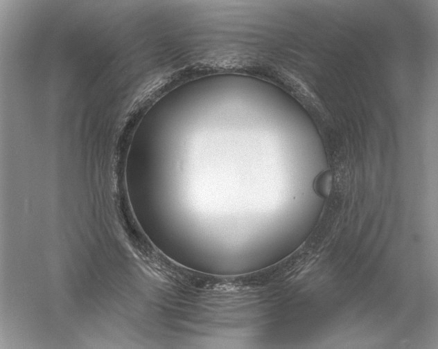 X0000055980635200509091954