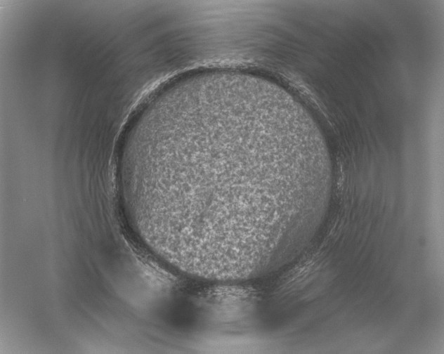 X0000055980636200509091954