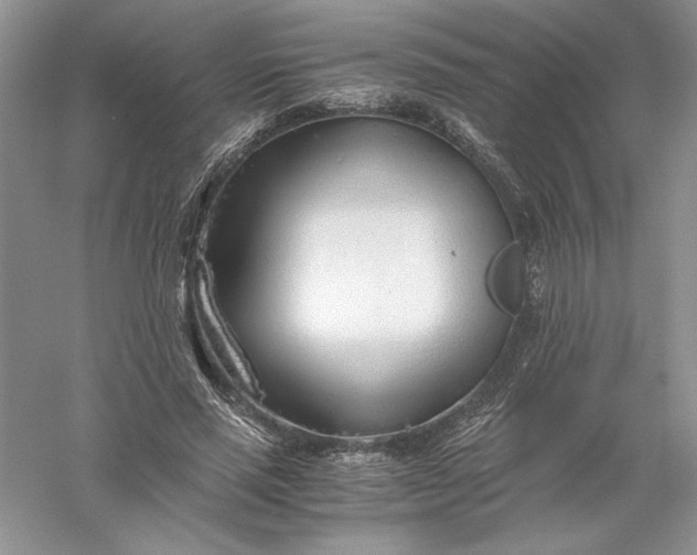 X0000055980637200509091954