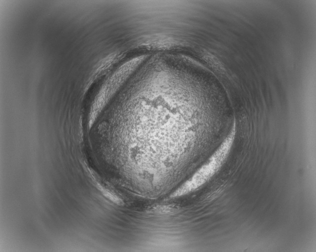 X0000055980638200509091954