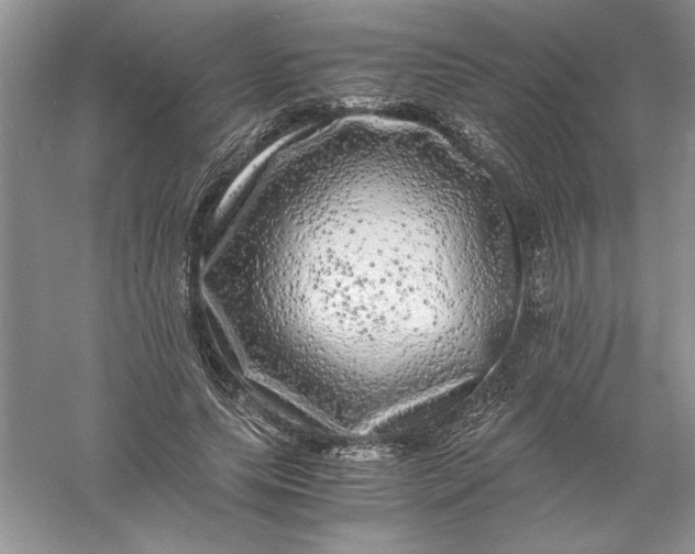 X0000055980639200509091954